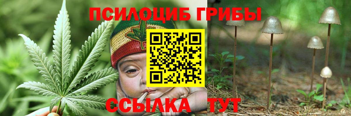 Галлюциногенные грибы мицелий  Вход с VPN  Санкт-Петербург 